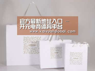 项目名称十一
