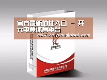 项目名称十三