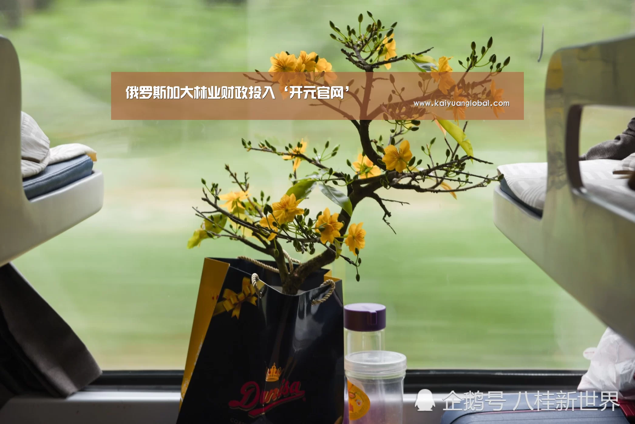 俄罗斯加大林业财政投入‘开元官网’(图2) 开元平台