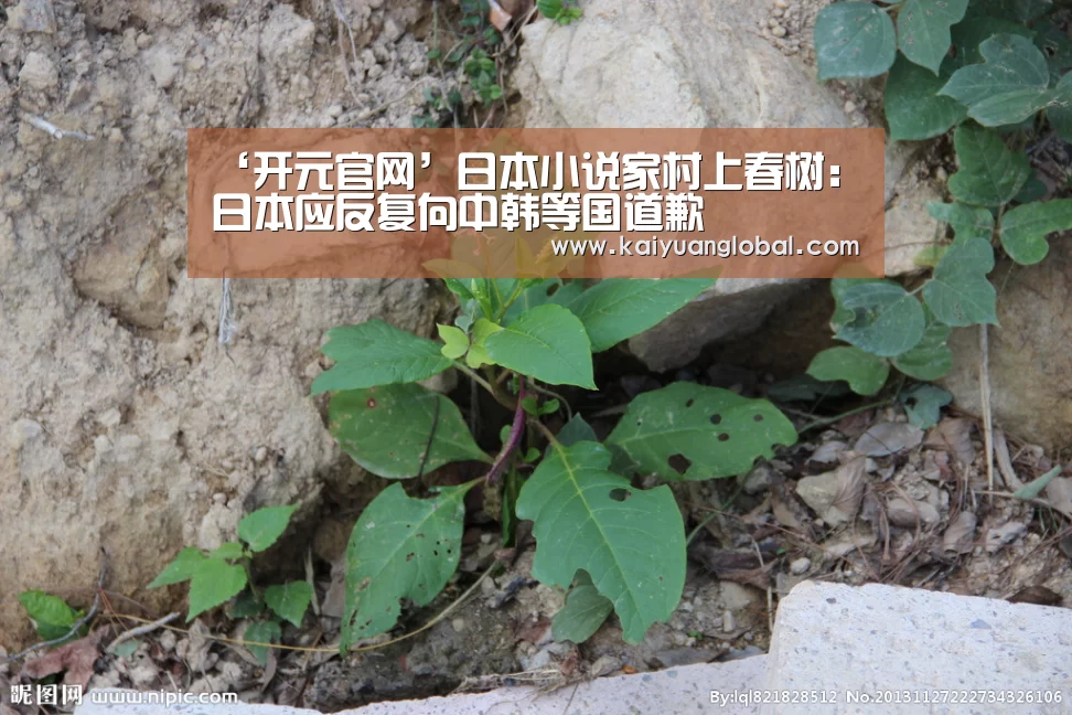 ‘开元官网’日本小说家村上春树:日本应反复向中韩等国道歉(图2) 开元平台