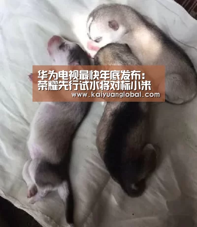 华为电视最快年底发布:荣耀先行试水将对标小米电视‘开元平台’(图3) 开元娱乐