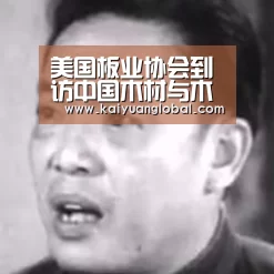 开元平台