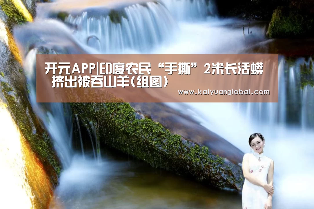 开元APP|印度农民“手撕”2米长活蟒 挤出被吞山羊(组图)(图2) 开元平台