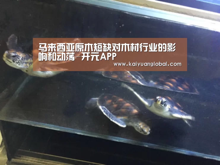 马来西亚原木短缺对木材行业的影响和动荡-开元APP(图3) 开元官网