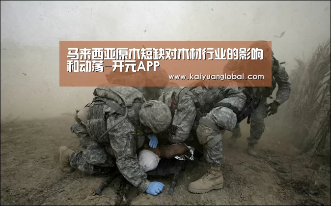 马来西亚原木短缺对木材行业的影响和动荡-开元APP(图2) 开元官网