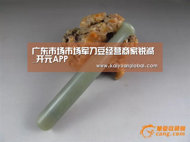广东市场市场军刀豆经营商家锐减_开元APP(图1) 开元官网
