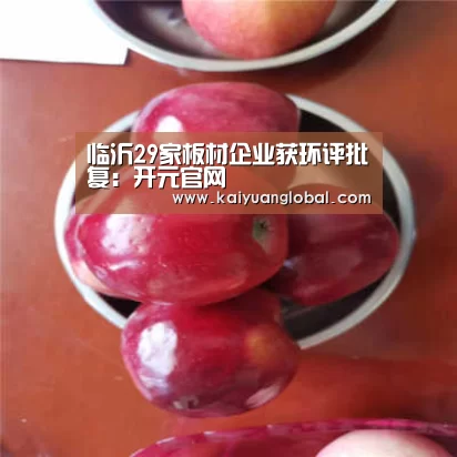 临沂29家板材企业获环评批复:开元官网(图1) 开元平台