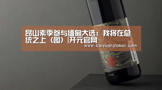 昂山素季参与缅甸大选:我将在总统之上(图)|开元官网(图2) 开元娱乐