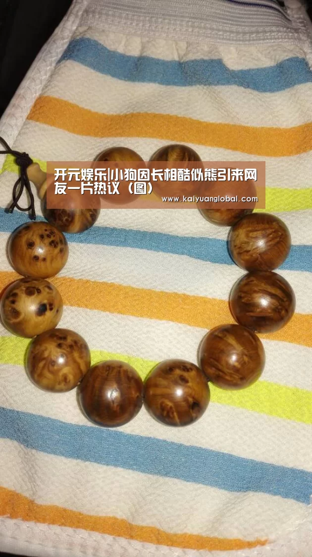 开元官网