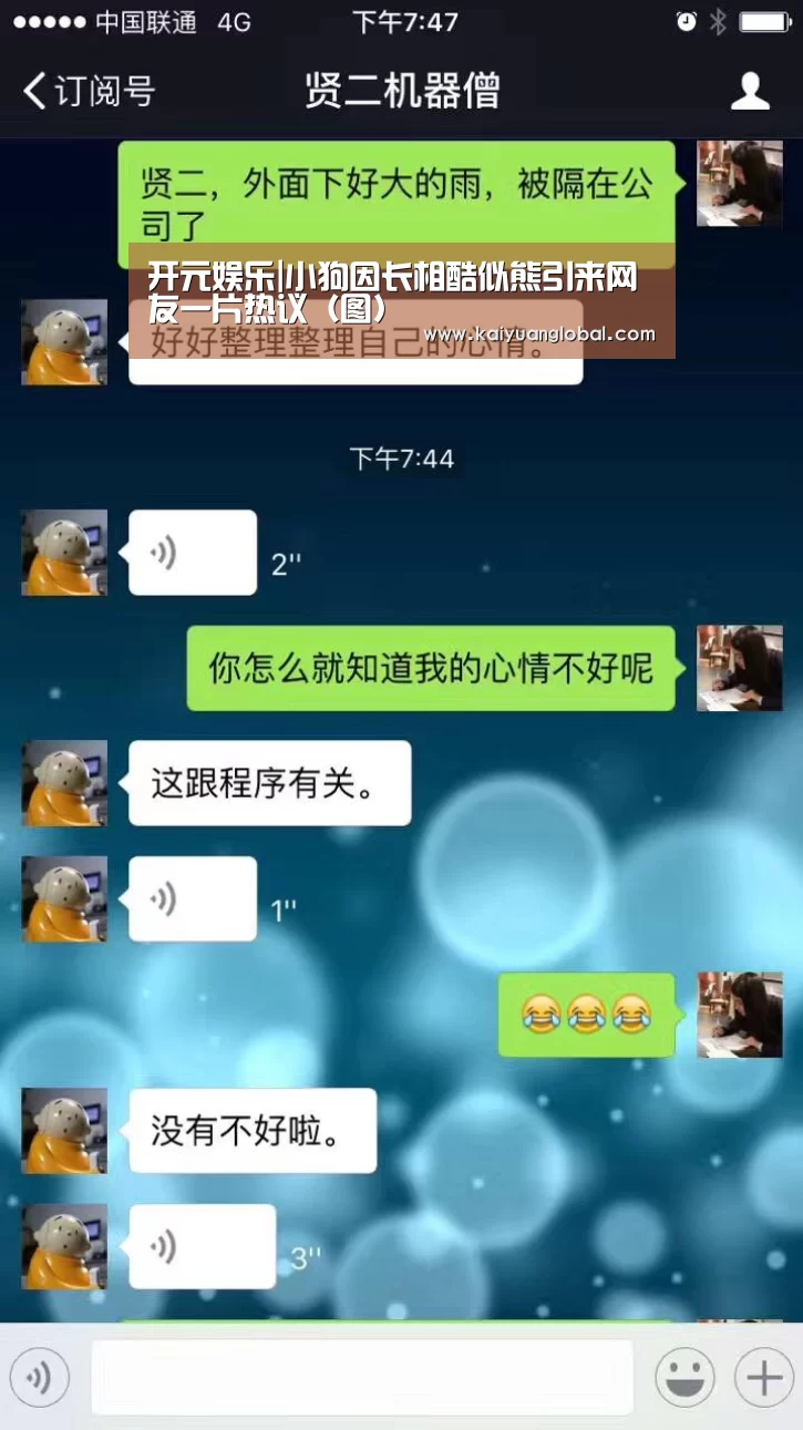 开元娱乐